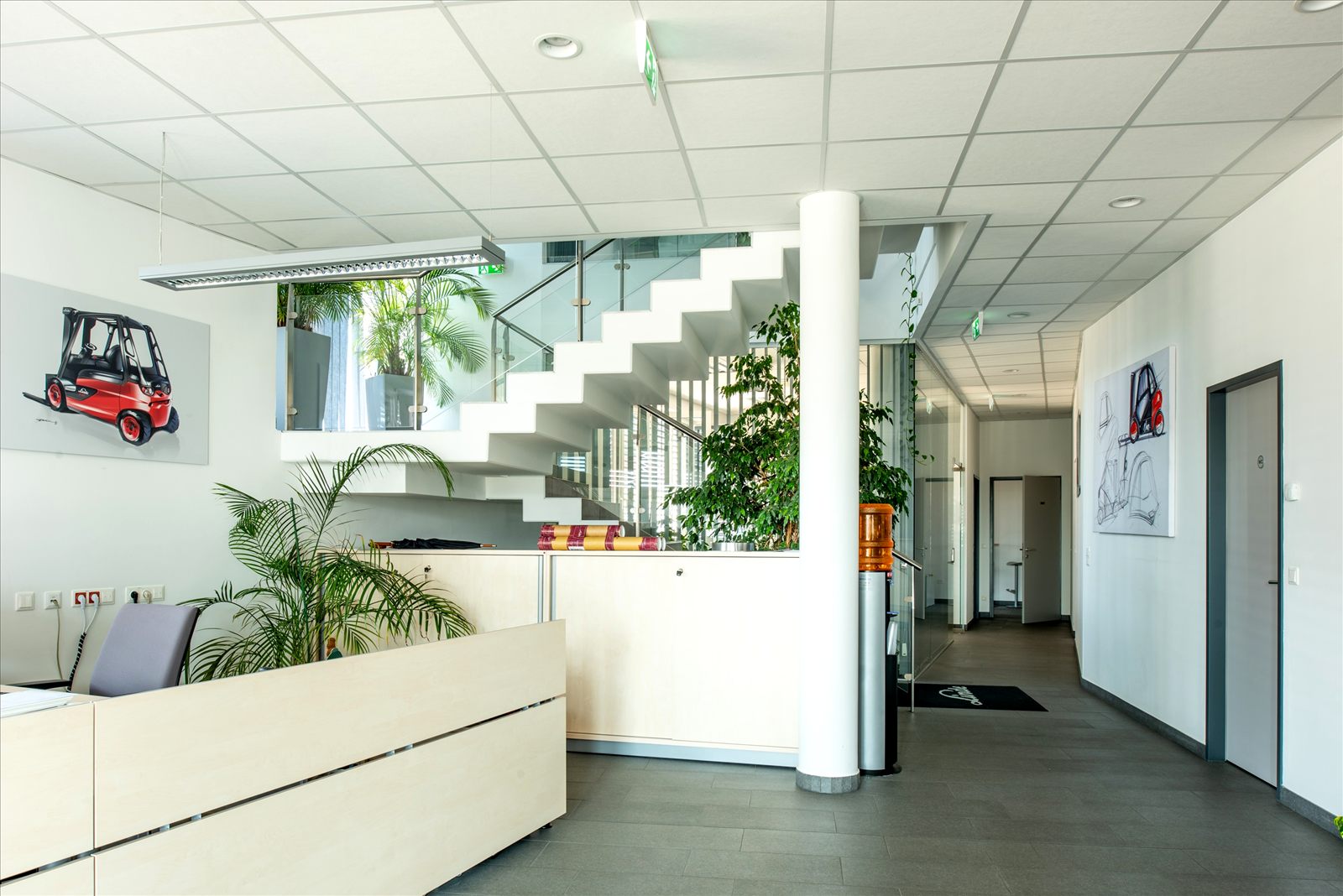 Linde, Ansicht 11